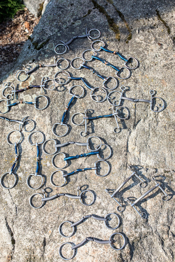 Hyvän peruskuolaimen anatomia