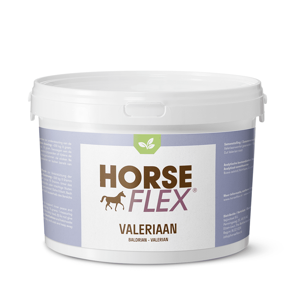 Horseflex Valeriana